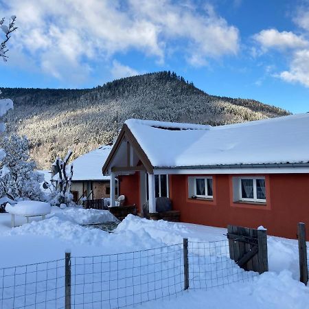 Gite Le Cerf Volant Raon-sur-Plaine エクステリア 写真